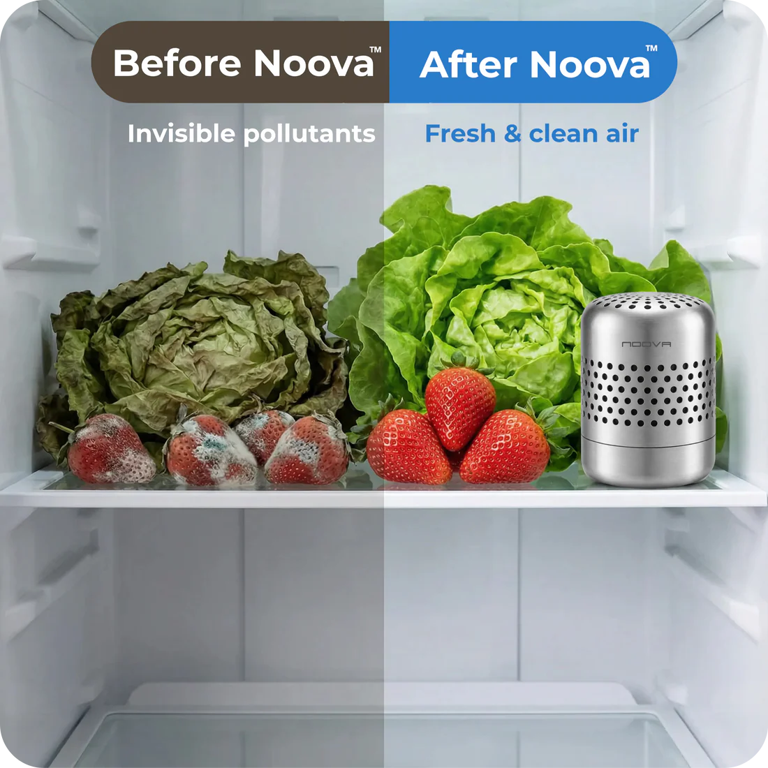 Clarive ™ Fridge Purifier