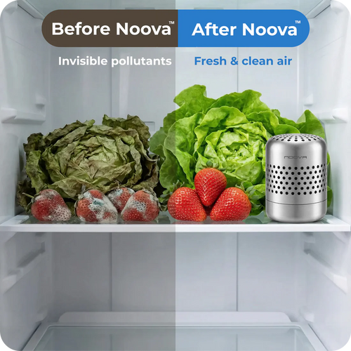 Clarive ™ Fridge Purifier