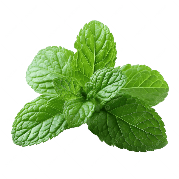 Eucalyptus & Peppermint